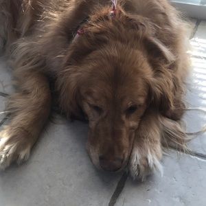 Meet your Posher, Kathleen